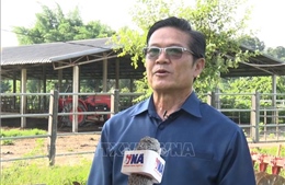 Tỉnh Bolikhamxay - Điểm đến đầu tư tiềm năng của nhà đầu tư Việt Nam trong lĩnh vực nông nghiệp