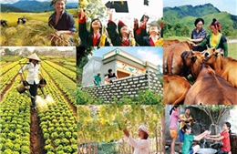 Thành lập Ban Chỉ đạo Trung ương các chương trình mục tiêu quốc gia giai đoạn 2021 - 2025