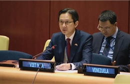 Việt Nam cam kết chung tay trong nỗ lực bảo vệ trẻ em trong xung đột vũ trang