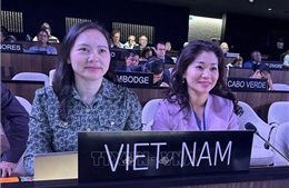 Việt Nam tái đắc cử thành viên Ủy ban liên chính phủ Công ước của UNESCO