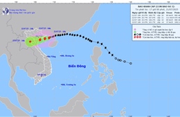 Phú Thọ: Kiểm tra các vị trí trọng yếu, chủ động di dời dân cư
