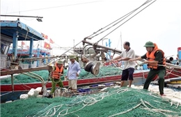 Ninh Bình: Tạm dừng hoạt động các tuyến đò, không cho tàu, thuyền ra khơi từ 21/7