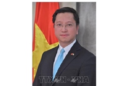 Việt Nam – Bhutan: Hợp tác vì hòa bình, phát triển và bền vững
