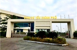 Chức năng, nhiệm vụ của Thanh tra Cơ yếu, Thanh tra được thành lập theo điều ước quốc tế