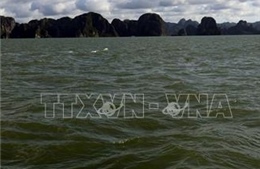 Kịp thời cứu 3 ngư dân gặp nạn trên vùng biển vịnh Hạ Long
