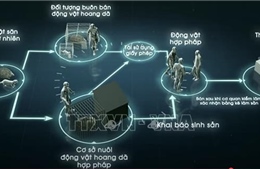Ra mắt phim ngắn phản ánh những tồn tại trong hoạt động nuôi thương mại động vật hoang dã