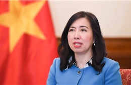 Nâng tầm công tác lãnh sự, bảo hộ công dân trong giai đoạn phát triển mới