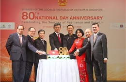 Việt Nam - Singapore cùng hướng tới tương lai hòa bình, đổi mới sáng tạo và thịnh vượng chung