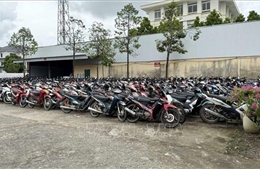 Thanh Hóa: Sớm làm rõ việc bến xe khách Quán Lào thu phí cao xe vi phạm bị tạm giữ