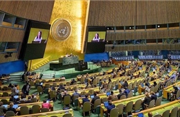 Đại hội đồng LHQ thông qua Tuyên bố New York về giải pháp hai nhà nước giữa Israel, Palestine