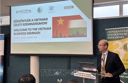 75 năm quan hệ Việt Nam - Hungary: Tăng cường kết nối và hợp tác doanh nghiệp