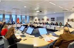 Việt Nam và EU thúc đẩy hợp tác toàn diện