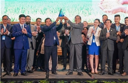 Gạo ST25 của Việt Nam tiếp tục giành giải gạo ngon nhất thế giới