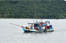 Vùng cảnh sát biển 4 bắt giữ 2 tàu cá tàng trữ, vận chuyển trái phép thiết bị VMS