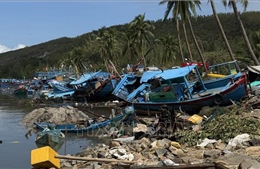 Bão số 13 và hoàn lưu bão làm 179 tàu bị sóng đánh chìm, hư hỏng