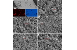 'Đá sống' tại Nam Phi hấp thụ carbon siêu tốc