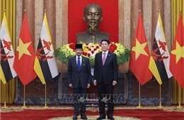 Tuyên bố chung Việt Nam - Brunei Darussalam