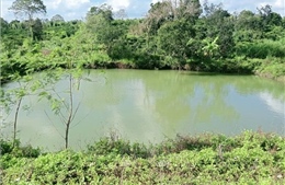 Rủ nhau đi tắm hồ, 3 em nhỏ bị đuối nước thương tâm