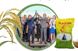 Hành trình 20 năm hình thành hạt gạo ngon nhất thế giới - ST25