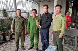 Quảng Trị: Tiếp nhận 2 cá thể khỉ mốc và khỉ mặt đỏ quý hiếm