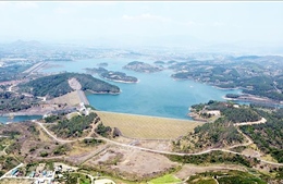 Lâm Đồng thu hồi trên 1.428 ha đất từ Dự án Sài Gòn Đại Ninh