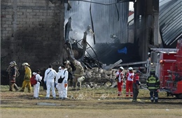 Mexico: Máy bay phản lực cỡ nhỏ gặp nạn khiến ít nhất 7 người thiệt mạng