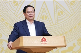 Kiện toàn Ban Chỉ đạo thực hiện thí điểm một số chính sách đặc thù phát triển TP Hồ Chí Minh