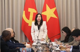 Thứ trưởng Ngoại giao Lê Thị Thu Hằng tiếp đoàn phóng viên nước ngoài đưa tin Đại hội Đảng