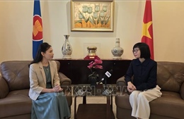 Việt Nam chủ động cùng ASEAN 'chèo lái' trước biến động toàn cầu
