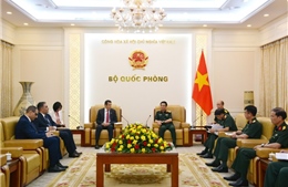 Phó Thủ tướng, Bộ trưởng Bộ Quốc phòng Phan Văn Giang tiếp Đại sứ Thụy Điển và Đại sứ Algeria