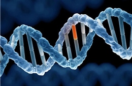 Mối liên hệ giữa gene gây dậy thì sớm và nguy cơ ung thư     