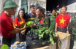 Đại sứ Vũ Trung Mỹ đánh giá cao nỗ lực của đoàn cứu hộ Việt Nam tại Venezuela