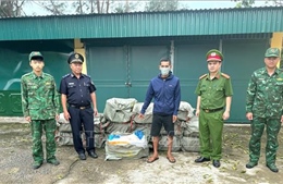 Thu giữ 800 kg nầm lợn đông lạnh không có hóa đơn