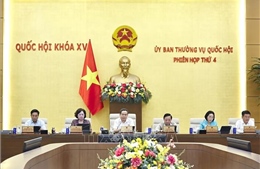 Rà soát quy định về trách nhiệm của các bộ, ngành trong phòng, chống rửa tiền