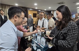 Tăng kết nối doanh nghiệp để khai thác dư địa thương mại Việt Nam - Indonesia