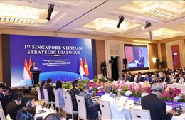 Việt Nam - Singapore hướng đến tương lai chung tự cường