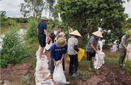 Khắc phục kịp thời sự cố của hệ thống thủy lợi Bắc Hưng Hải do bão số 4 gây ra