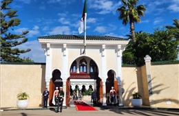 Algeria: Tuyên bố quốc tang 3 ngày sau các vụ cháy rừng nghiêm trọng