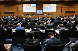 IAEA chuyển vấn đề hạt nhân Iran lên HĐBA LHQ