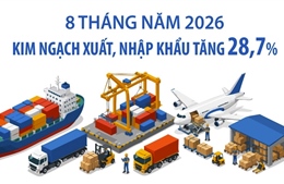 8 tháng năm 2026: Kim ngạch xuất, nhập khẩu tăng 28,7% 