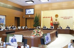 Bước tiến quan trọng cho doanh nghiệp Việt Nam và châu Âu 