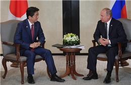 Nhật Bản, Nga cân nhắc thiết lập khung tham vấn cấp cao về hiệp định hòa bình
