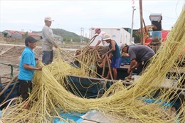 Nghệ An hỗ trợ ngư dân vươn khơi bám biển