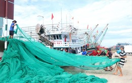 Khắc phục "thẻ vàng" IUU: Quảng Trị không để tàu cá vi phạm vùng biển nước ngoài