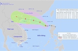 Trung Quốc kích hoạt ứng phó khẩn cấp với bão Talim