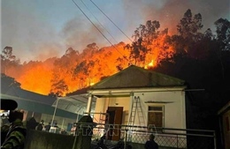 Xuyên đêm dập tắt cháy rừng tại huyện Nam Đàn, Nghệ An