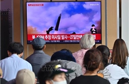 Phái viên hạt nhân Hàn-Mỹ-Nhật điện đàm sau vụ phóng tên lửa của Triều Tiên  