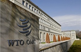 Thay đổi đáng chú ý trong dự thảo về thủy sản của WTO