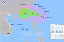 Các tỉnh từ Quảng Ninh đến Khánh Hòa chủ động ứng phó với diễn biến bão KOINU