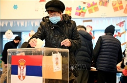 Bầu cử Quốc hội Serbia: Tiến hành bỏ phiếu lại tại một số khu vực